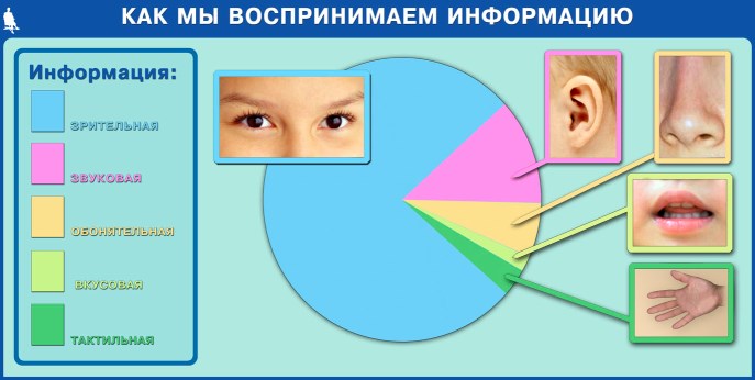 Восприятие информации